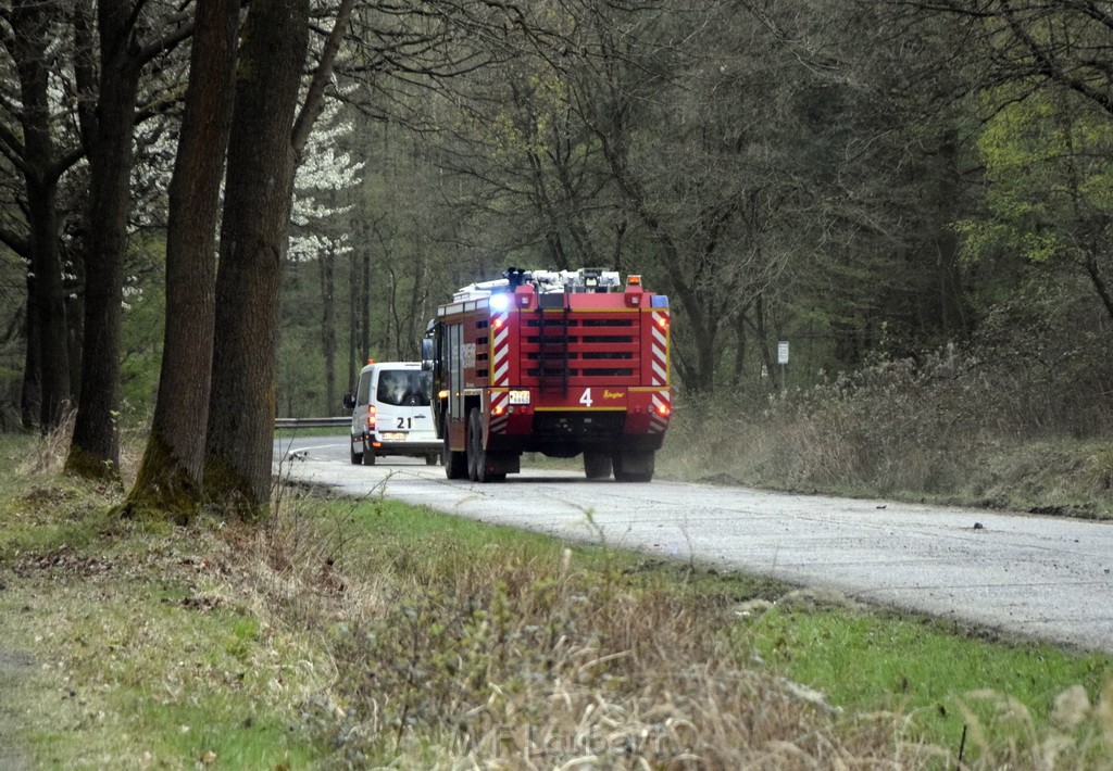 Waldbrand Wahner Heide Troisdorf Eisenweg P462.JPG - Miklos Laubert